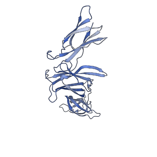 16824_8oe4_A_v1-0
Cryo-EM structure of a pre-dimerized human IL-23 complete extracellular signaling complex.