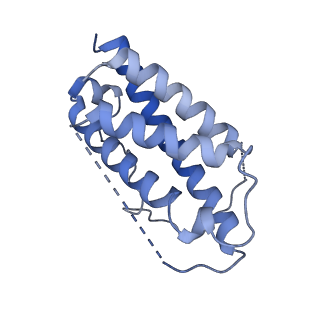 16824_8oe4_B_v1-0
Cryo-EM structure of a pre-dimerized human IL-23 complete extracellular signaling complex.