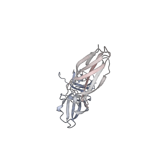 16824_8oe4_C_v1-0
Cryo-EM structure of a pre-dimerized human IL-23 complete extracellular signaling complex.