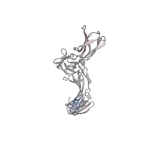 16824_8oe4_D_v1-0
Cryo-EM structure of a pre-dimerized human IL-23 complete extracellular signaling complex.