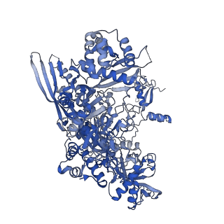 16835_8oeu_B_v1-2
Structure of the mammalian Pol II-SPT6 complex (composite structure, Structure 4)