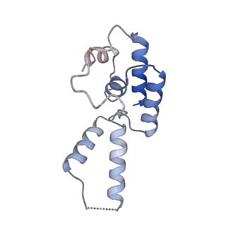 16835_8oeu_D_v1-2
Structure of the mammalian Pol II-SPT6 complex (composite structure, Structure 4)