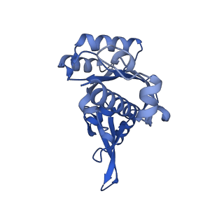 16835_8oeu_E_v1-2
Structure of the mammalian Pol II-SPT6 complex (composite structure, Structure 4)