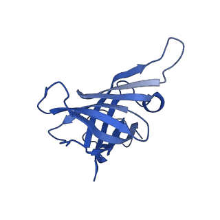 16835_8oeu_H_v1-2
Structure of the mammalian Pol II-SPT6 complex (composite structure, Structure 4)