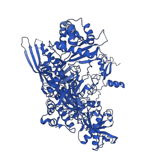 16837_8oev_B_v1-2
Structure of the mammalian Pol II-SPT6-Elongin complex, lacking ELOA latch (composite structure, structure 3)