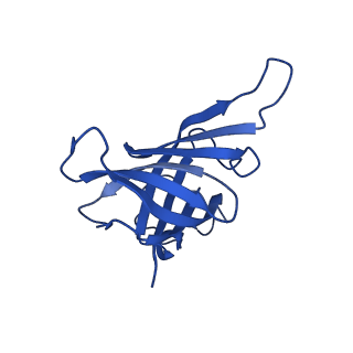 16837_8oev_H_v1-2
Structure of the mammalian Pol II-SPT6-Elongin complex, lacking ELOA latch (composite structure, structure 3)