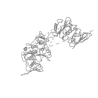 20020_6oef_A_v1-4
PolyAla Model of the O-layer from the Type 4 Secretion System of H. pylori