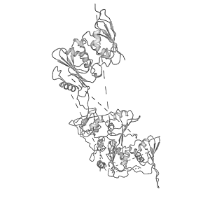 20020_6oef_D_v1-4
PolyAla Model of the O-layer from the Type 4 Secretion System of H. pylori