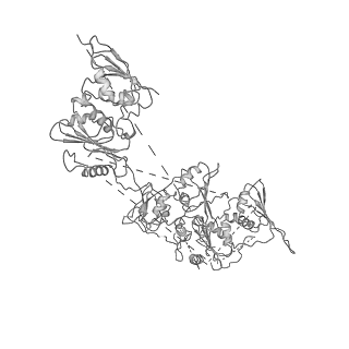 20020_6oef_E_v1-4
PolyAla Model of the O-layer from the Type 4 Secretion System of H. pylori