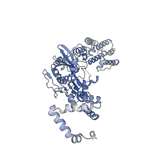 20030_6oem_C_v1-2
Cryo-EM structure of mouse RAG1/2 PRC complex (DNA0)
