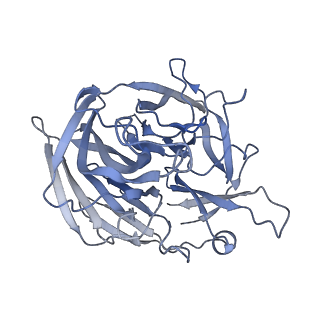 20030_6oem_D_v1-2
Cryo-EM structure of mouse RAG1/2 PRC complex (DNA0)
