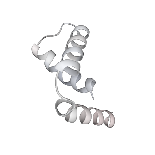 20030_6oem_H_v1-2
Cryo-EM structure of mouse RAG1/2 PRC complex (DNA0)