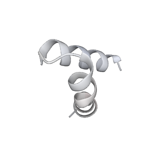 20030_6oem_N_v1-2
Cryo-EM structure of mouse RAG1/2 PRC complex (DNA0)