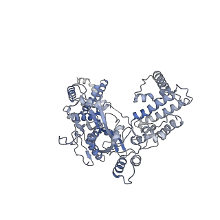 20031_6oen_A_v1-2
Cryo-EM structure of mouse RAG1/2 PRC complex (DNA1)