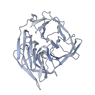 20031_6oen_B_v1-2
Cryo-EM structure of mouse RAG1/2 PRC complex (DNA1)