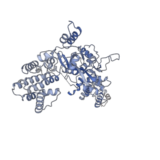 20031_6oen_C_v1-2
Cryo-EM structure of mouse RAG1/2 PRC complex (DNA1)