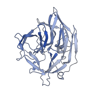 20031_6oen_D_v1-2
Cryo-EM structure of mouse RAG1/2 PRC complex (DNA1)
