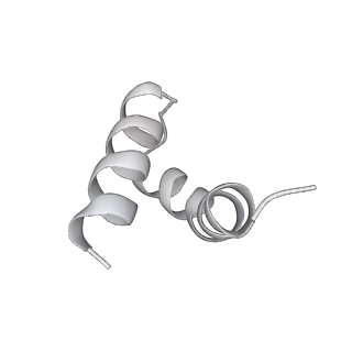 20031_6oen_N_v1-2
Cryo-EM structure of mouse RAG1/2 PRC complex (DNA1)