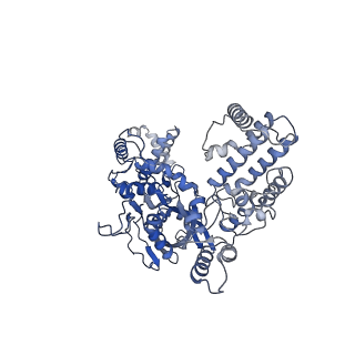 20032_6oeo_A_v1-2
Cryo-EM structure of mouse RAG1/2 NFC complex (DNA1)