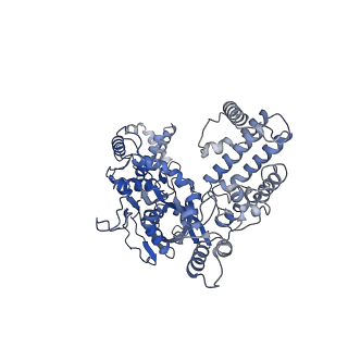 20032_6oeo_A_v1-3
Cryo-EM structure of mouse RAG1/2 NFC complex (DNA1)