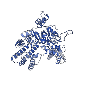 20032_6oeo_C_v1-2
Cryo-EM structure of mouse RAG1/2 NFC complex (DNA1)