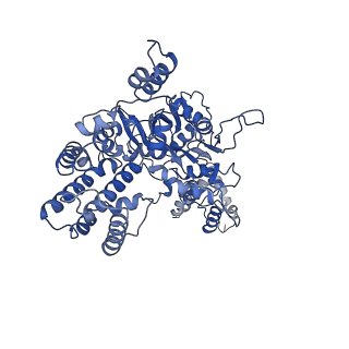 20032_6oeo_C_v1-3
Cryo-EM structure of mouse RAG1/2 NFC complex (DNA1)