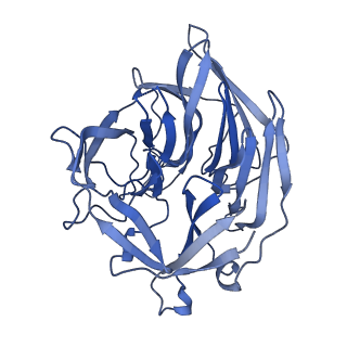 20032_6oeo_D_v1-3
Cryo-EM structure of mouse RAG1/2 NFC complex (DNA1)