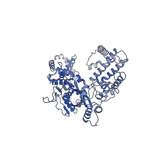 20033_6oep_A_v1-2
Cryo-EM structure of mouse RAG1/2 12RSS-NFC/23RSS-PRC complex (DNA1)