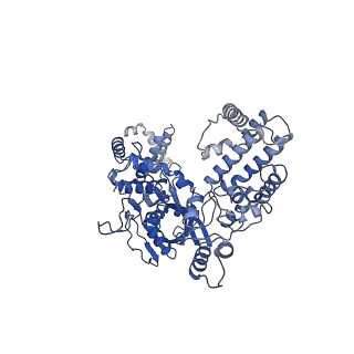 20033_6oep_A_v1-3
Cryo-EM structure of mouse RAG1/2 12RSS-NFC/23RSS-PRC complex (DNA1)