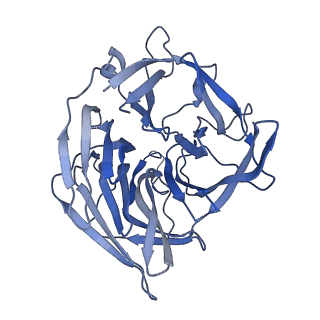 20033_6oep_B_v1-3
Cryo-EM structure of mouse RAG1/2 12RSS-NFC/23RSS-PRC complex (DNA1)