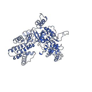 20033_6oep_C_v1-2
Cryo-EM structure of mouse RAG1/2 12RSS-NFC/23RSS-PRC complex (DNA1)