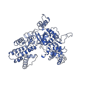 20033_6oep_C_v1-3
Cryo-EM structure of mouse RAG1/2 12RSS-NFC/23RSS-PRC complex (DNA1)