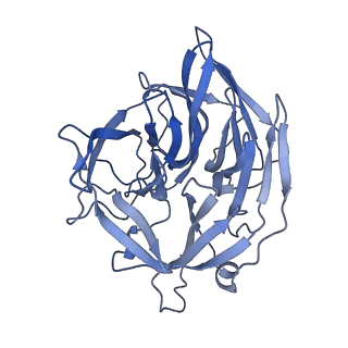 20033_6oep_D_v1-2
Cryo-EM structure of mouse RAG1/2 12RSS-NFC/23RSS-PRC complex (DNA1)