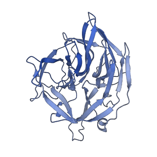 20033_6oep_D_v1-3
Cryo-EM structure of mouse RAG1/2 12RSS-NFC/23RSS-PRC complex (DNA1)