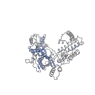 20034_6oeq_A_v1-2
Cryo-EM structure of mouse RAG1/2 12RSS-PRC/23RSS-NFC complex (DNA1)