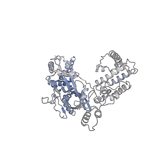 20034_6oeq_A_v1-3
Cryo-EM structure of mouse RAG1/2 12RSS-PRC/23RSS-NFC complex (DNA1)