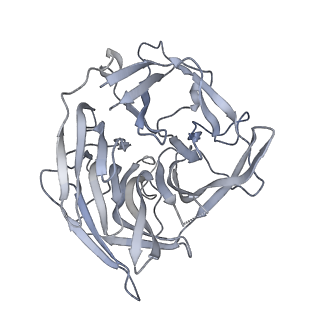 20034_6oeq_B_v1-3
Cryo-EM structure of mouse RAG1/2 12RSS-PRC/23RSS-NFC complex (DNA1)