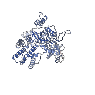 20034_6oeq_C_v1-2
Cryo-EM structure of mouse RAG1/2 12RSS-PRC/23RSS-NFC complex (DNA1)