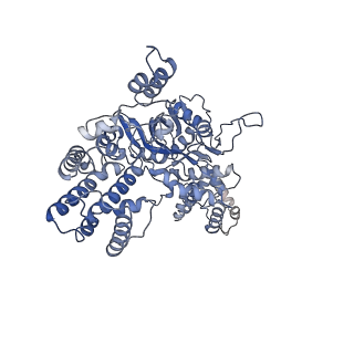 20034_6oeq_C_v1-3
Cryo-EM structure of mouse RAG1/2 12RSS-PRC/23RSS-NFC complex (DNA1)