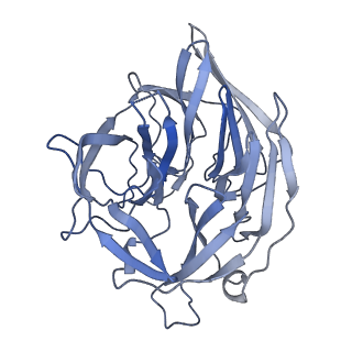 20034_6oeq_D_v1-3
Cryo-EM structure of mouse RAG1/2 12RSS-PRC/23RSS-NFC complex (DNA1)