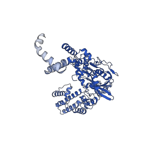 20035_6oer_A_v1-2
Cryo-EM structure of mouse RAG1/2 NFC complex (DNA2)