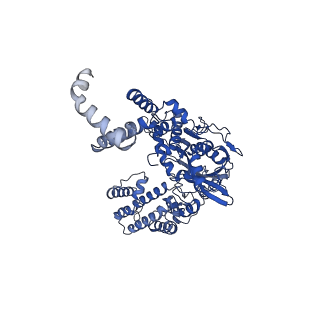 20035_6oer_A_v1-3
Cryo-EM structure of mouse RAG1/2 NFC complex (DNA2)