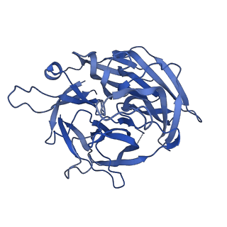 20035_6oer_B_v1-2
Cryo-EM structure of mouse RAG1/2 NFC complex (DNA2)
