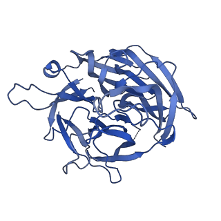 20035_6oer_B_v1-3
Cryo-EM structure of mouse RAG1/2 NFC complex (DNA2)