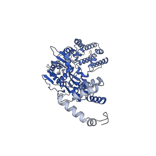 20035_6oer_C_v1-2
Cryo-EM structure of mouse RAG1/2 NFC complex (DNA2)