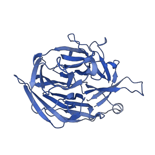 20035_6oer_D_v1-2
Cryo-EM structure of mouse RAG1/2 NFC complex (DNA2)