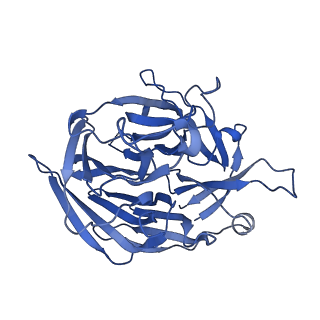 20035_6oer_D_v1-3
Cryo-EM structure of mouse RAG1/2 NFC complex (DNA2)