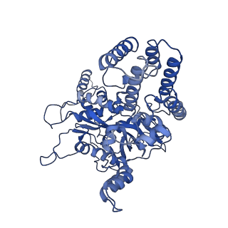 20036_6oes_A_v1-1
Cryo-EM structure of mouse RAG1/2 STC complex (without NBD domain)