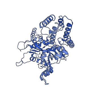 20036_6oes_A_v1-2
Cryo-EM structure of mouse RAG1/2 STC complex (without NBD domain)