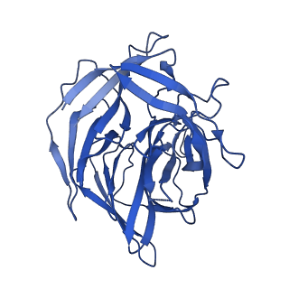 20036_6oes_B_v1-2
Cryo-EM structure of mouse RAG1/2 STC complex (without NBD domain)